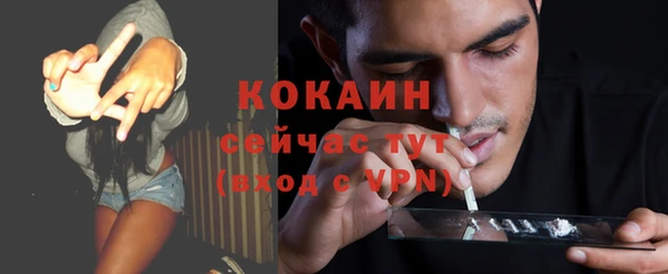 винт Сатка