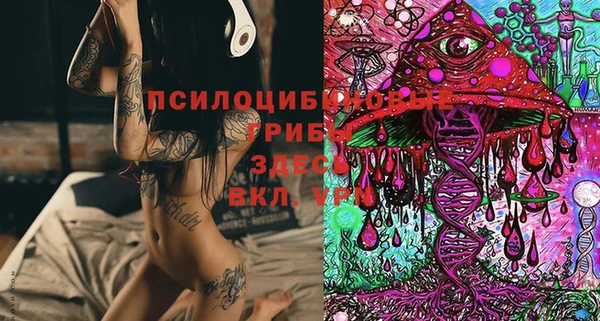 бошки Михайловск