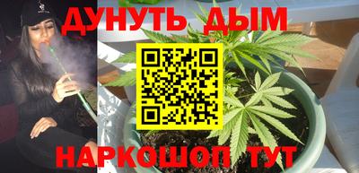 прущие крисы Гатчина