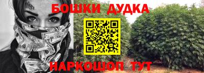 прущие крисы Гатчина