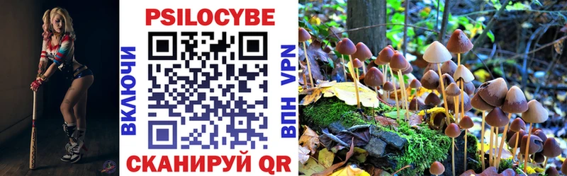 Псилоцибиновые грибы Psilocybine cubensis  Канаш 