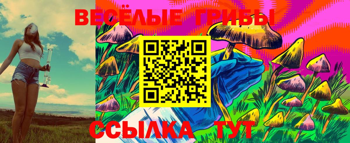 Галлюциногенные грибы Magic Shrooms Канаш