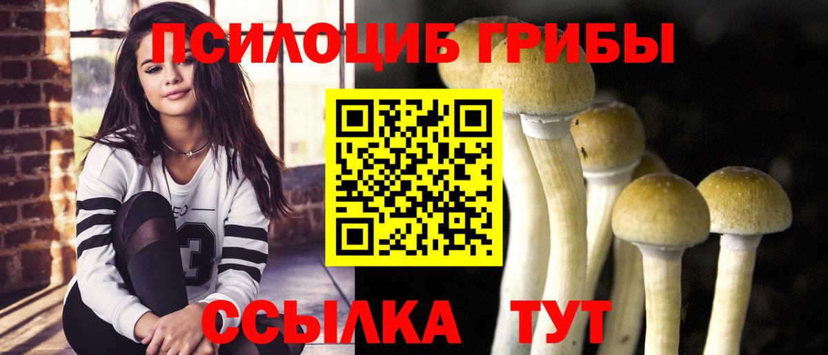 Галлюциногенные грибы Cubensis  Псилоцибиновые грибы GOLDEN TEACHER  Канаш  Вход с VPN 
